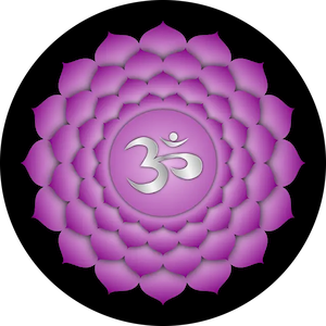 7 chakra
