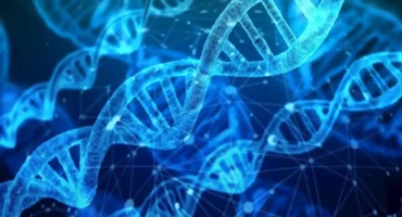Blog de mantener una salud natural