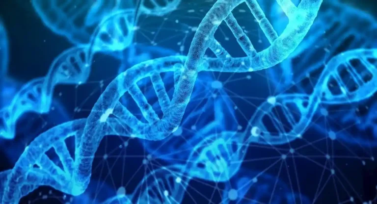 Hélices de ADN en azul