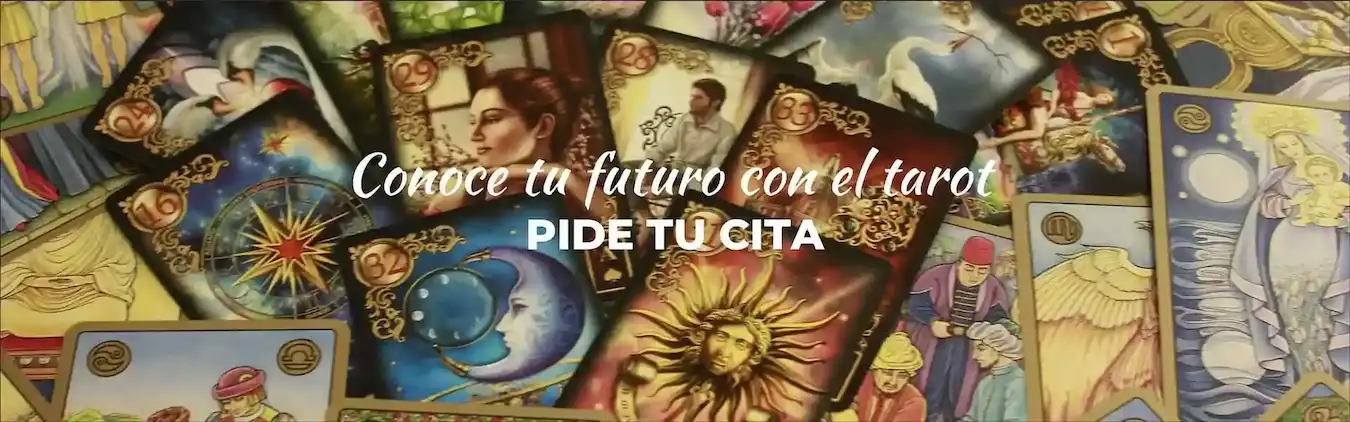 “consulta