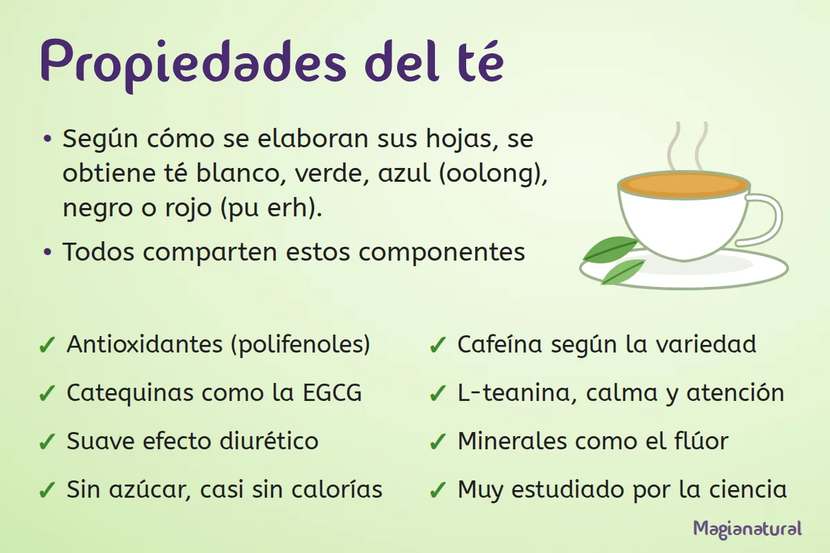 Propiedades del té
